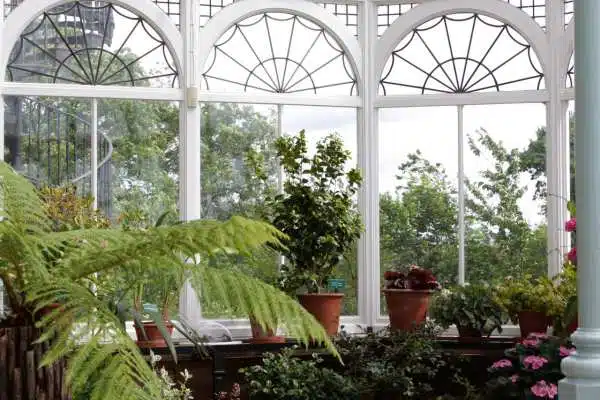 Conservatory greenhouse with potted plants and ferns where humidity and temperature are recorded